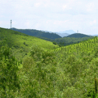 Taishan Taishan