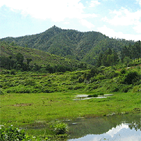 Taishan Taishan