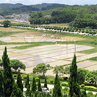 Taishan Taishan